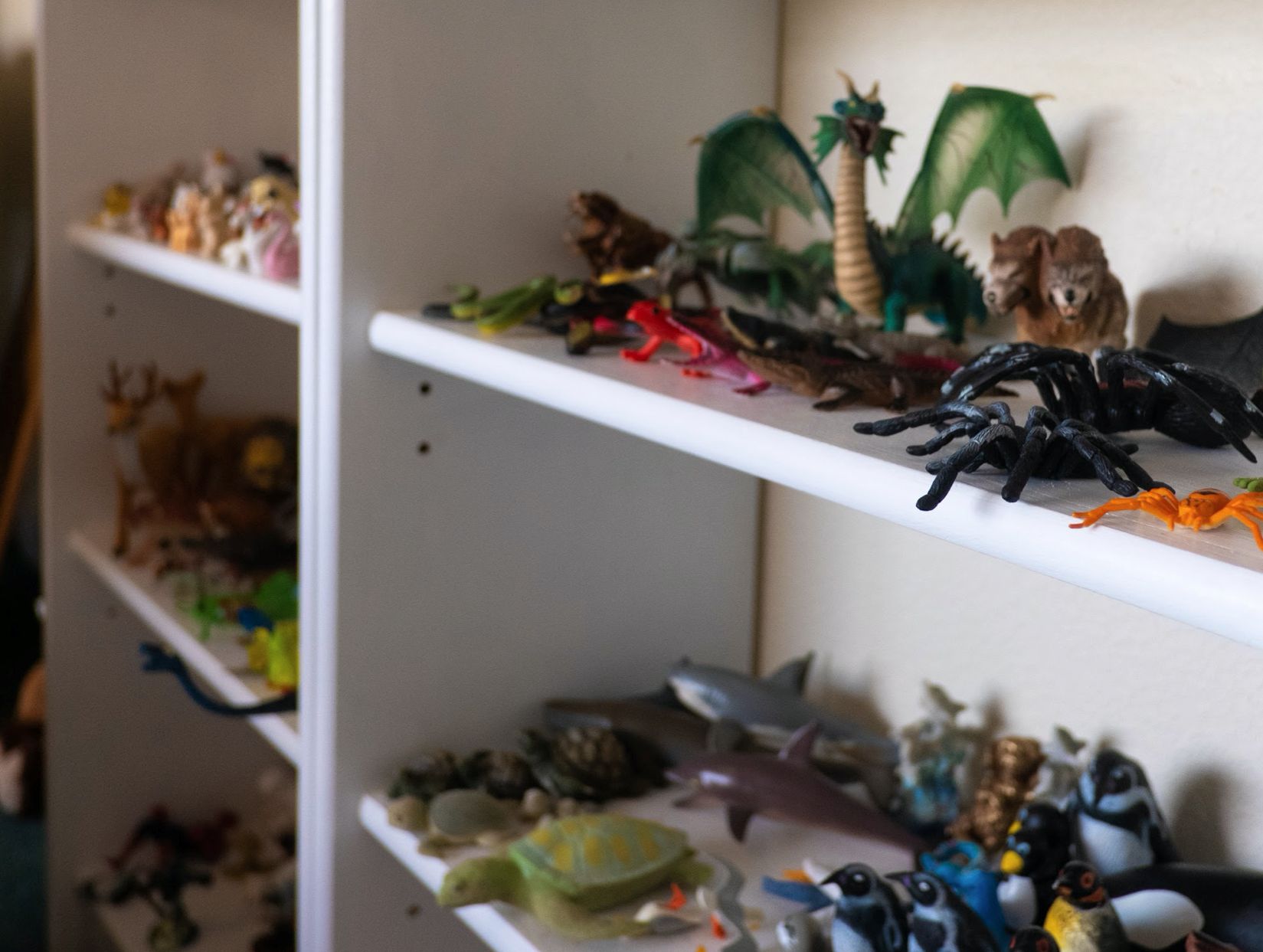 Toys arranged on a white bookcase